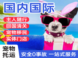 长治机场快运国际宠物托运 【国